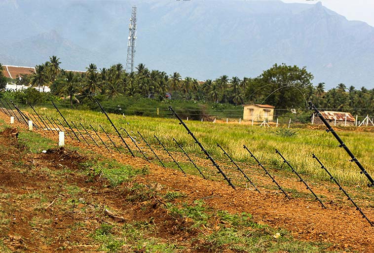 Elephant Control Fence Image - Agrifenz®