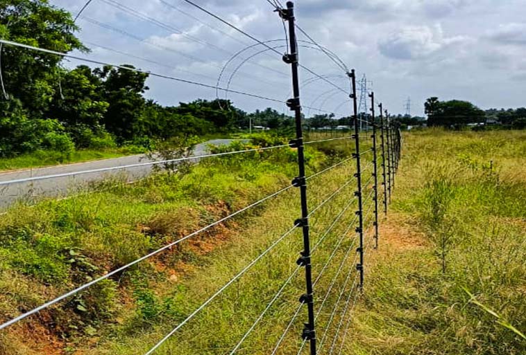 Elephant Control Fence Image - Agrifenz®