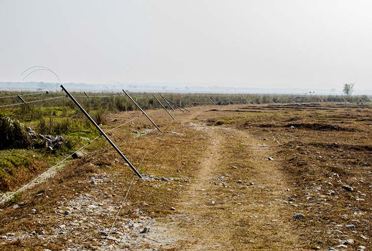 Elephant Control Fence Image - Agrifenz®