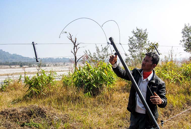 Elephant Control Fence Image - Agrifenz®