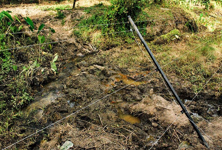 Elephant Control Fence Image - Agrifenz®